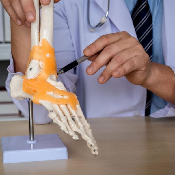 Adult Reconstructive Orthopedic Surgeon